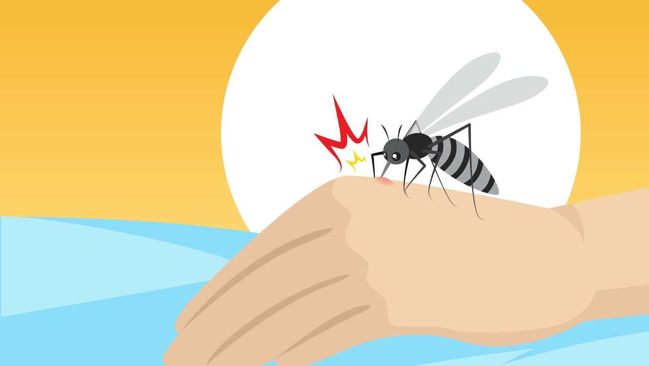 Безопасное лето: как защитить детей от комаров